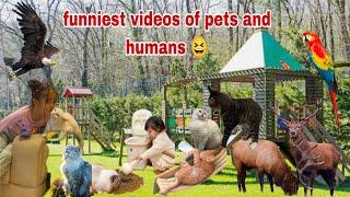 Cute Animal Videos 2024 Funniest Animal and Owner Videos 