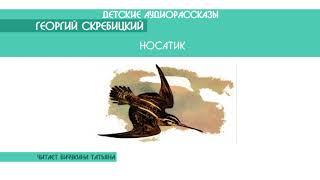 Георгий Скребицкий "Носатик" - детский аудиорассказ: слушать онлайн