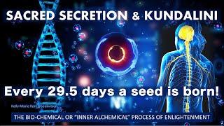 Kundalini Energy Sacred Secretion INFO 2022 | SUPER CONSCIOUSNESS: THE BIOCHEMISTRY of Inner Alchemy