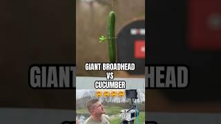 Worlds biggest Broadhead vs cucumber | BEAST Broadheads| #turkey #broadhead #archery