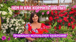 Как удобрять цветы, чтобы они выглядели шикарно?