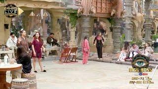 Bigg Boss 18 LIVE: Wild Card Ne Badla Ghar Ka Mohal, Vivian, Avinash, Digvijay Ne Kiya Ignore