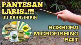 Unboxing, Making And Testing Rasbora Microfishing Bait