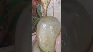 premanand Maharaj ji ka samvad har har mahadev Shambhu tripurari Kashi VishShri Shivay namastubyamm