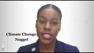 Climate Change Nugget