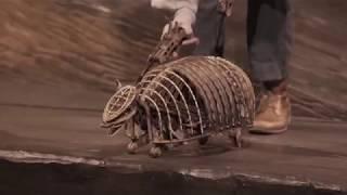 The Wider Earth Trailer - Natural History Museum - The Wider Earth