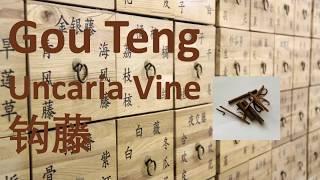 100 Chinese Herbal Medicine, Traditional Chinese Medicine - Gou Teng (Uncaria Vine) 钩藤 -中医 中药 草药