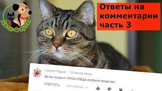 Котенок ходит по большому мимо лотка, что делать? Ответы на комментарии часть 3