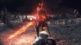 Душа пепла + концовка Узурпация огня Dark Souls 3