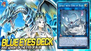 Deck Blue-Eyes Post Advent of the Eyes of Blue| EDOPRO | Replays  + Decklist ️