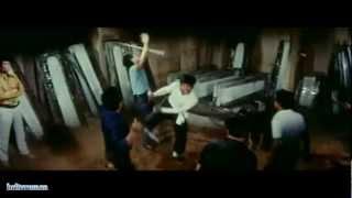 The Legend of Bruce Lee