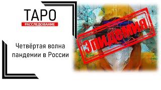 Таро-расследование: Четвертая волна пандемии в России