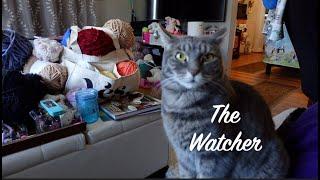 The Watcher