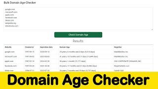 How to do Check Websites Age | Free Bulk Domain Age Checker | Best Convert Tools