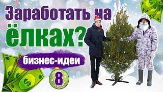 Продажа елок на новый год, как бизнес. Бизнес идеи.