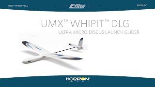 UMX™ Whipit™ DLG by E-flite®