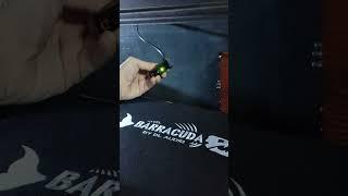 Идеальный Barracuda 12A Flat