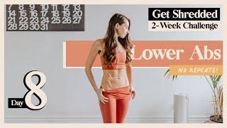 Fat-Burning Lower Abs Workout | Get Shredded 2-Week Challenge (Day 8)