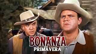 Bonanza - Primavera (Springtime) | Ver Doblaje en Español