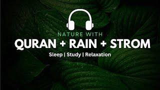 Quran with Rain & Thunder sounds!! Amazing recitation Surah Al Baqarah | sleeping problem solution