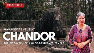 Nandi in waiting of Mahadev in Goa | Mahadev Temple, Chandor |Sacred Stories with Sawani Shetye