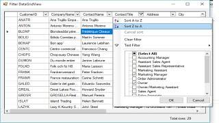 C# Tutorial - Advanced Filter DataGridView | FoxLearn