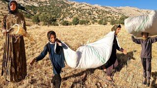 Nomadic Widow's Struggle to Build a House
