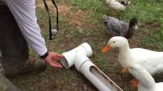 DIY - Build A Better Backyard Duck Feeder