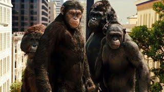 The monkeys got smarter than humans and they rebelled | Rise of the Planet of the Apes | Movie Recap