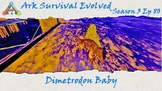 Ark Survival Evolved S3E81: Better Dimetrodon Egg Farm!