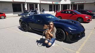 Baby sitter at car show with Pit Bull wiener dog! Car show Keno the dog with by 2019 Corvette ZR1.