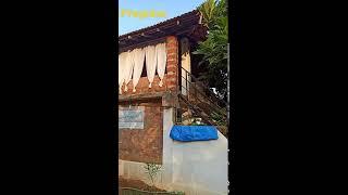 Yoga Goa - Mantra Yoga School