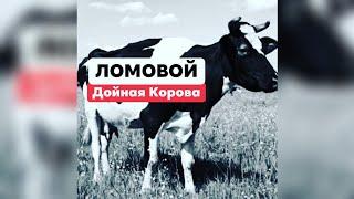 ЛОМОВОЙ - Дойная корова