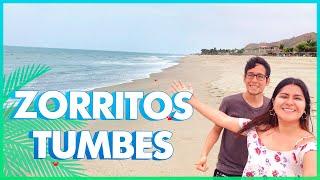 ZORRITOS-TUMBES CON BAJO PRESUPUESTO!!! (cómo llegar,alojamiento & más)|Daniela Mucha