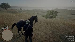 Red Dead Redemption 2- Master Hunter Challenge #7 (easy guide)