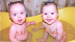 Double Trouble: Funny Twin Baby Videos Compilation 