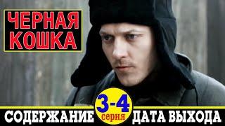 Сериал Черная кошка 3 и 4 серия: дата выхода и содержание