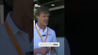Unleashing the Power of Rice Hulls in Building Materials