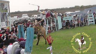 Ganadores Campo Nano Kaiser 2024 jineteada #caballos #jinete #charreada #jaripeo #rodeo#Cowboy