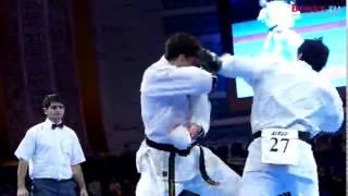 2013 Kyokushin-kan World Cup