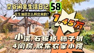 空谷闲舍生活日记58：胶东农家花生油是怎么榨出来的？门前有小溪，有石板桥，有柿子树，小院里四间石头房，1.45万即可拥有一套胶东农家小院！农村房子｜胶东民居｜山东农民房｜便宜房子｜乡村旧房