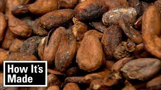 Cocoa Beans and Bulk Chocolate | How It’s Made | Science Channel