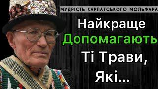 ЩО КАЗАВ КАРПАТСЬКИЙ МОЛЬФАР НЕЧАЙ? | МУДРІ ЦИТАТИ ТА ПОРАДИ