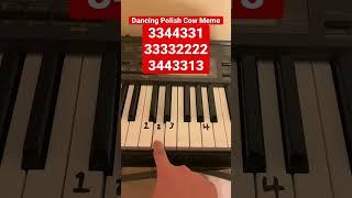 How to Play Dancing Polish Cow Meme Song #shorts