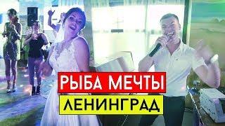 Ленинград - Рыба моей мечты (cover Виталий Лобач)