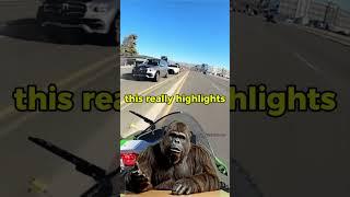 BRAKE CHECK! Who was in the wrong 