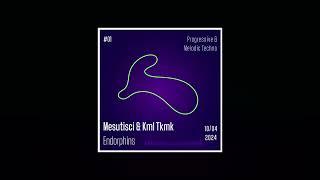 Mesutisci & Kml Tkmk - Endorphins #01 (10.04.2024)