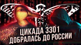 ВОЗВРАЩЕНИЕ САМОЙ ТАИНСТВЕННОЙ ЗАГАДКИ  ИНТЕРНЕТА. Цикада 3301