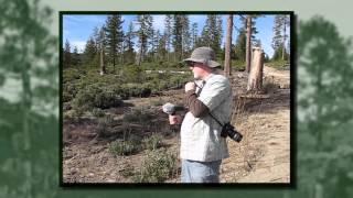 Northern California Sasquatch Seekers go Squatchin - Episode 1