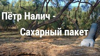 Пётр Налич - Сахарный пакет (by Grigorii Alekseev)